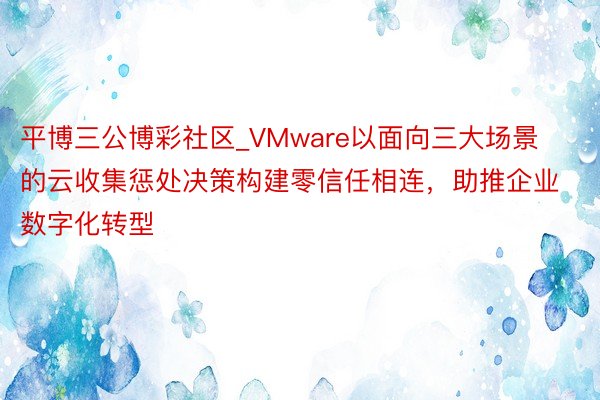 平博三公博彩社区_VMware以面向三大场景的云收集惩处决策构建零信任相连，助推企业数字化转型