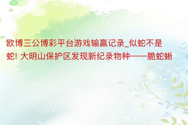 欧博三公博彩平台游戏输赢记录_似蛇不是蛇! 大明山保护区发现新纪录物种——脆蛇蜥